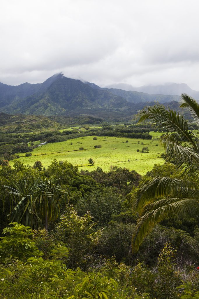 landscape ile de la réunion